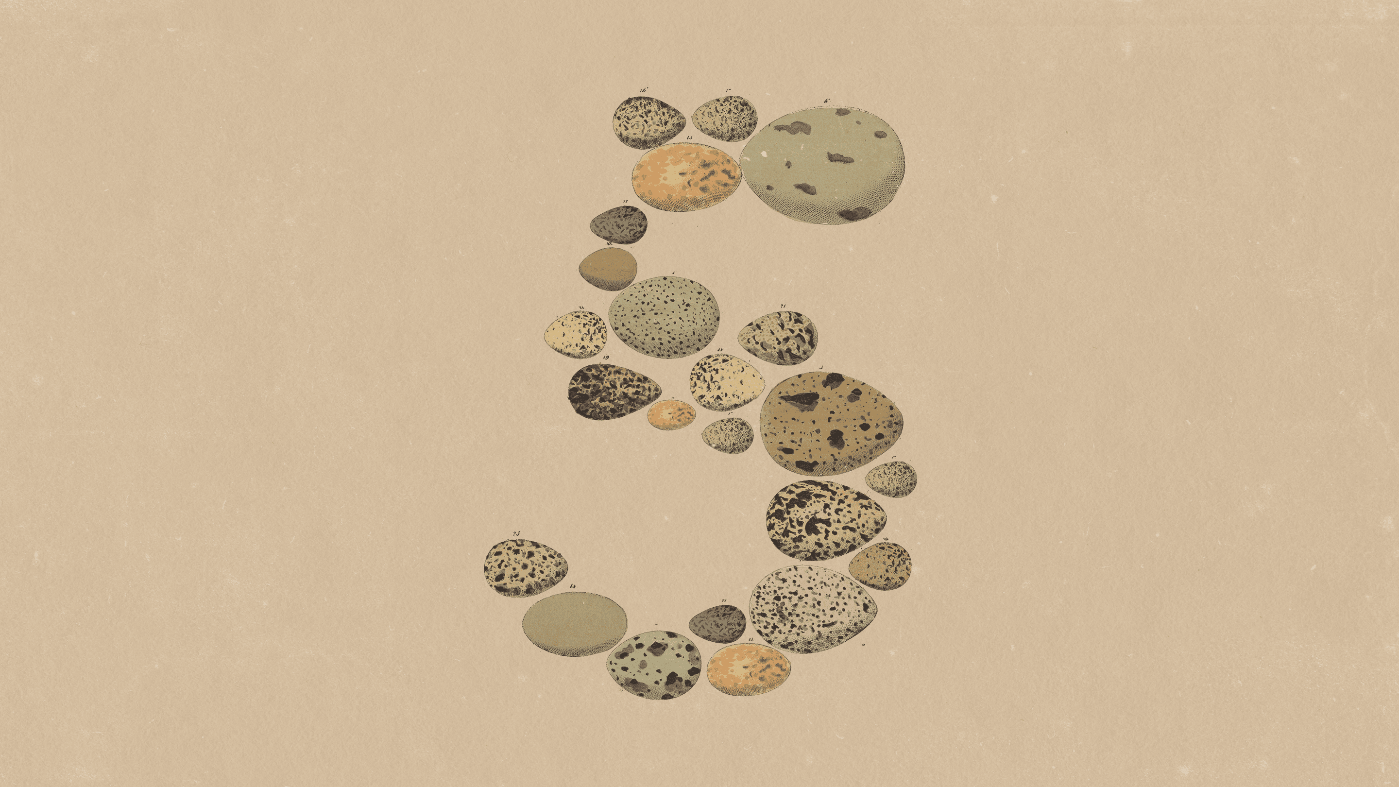 Official Claude Opus 5 artwork made from eggs of different sizes