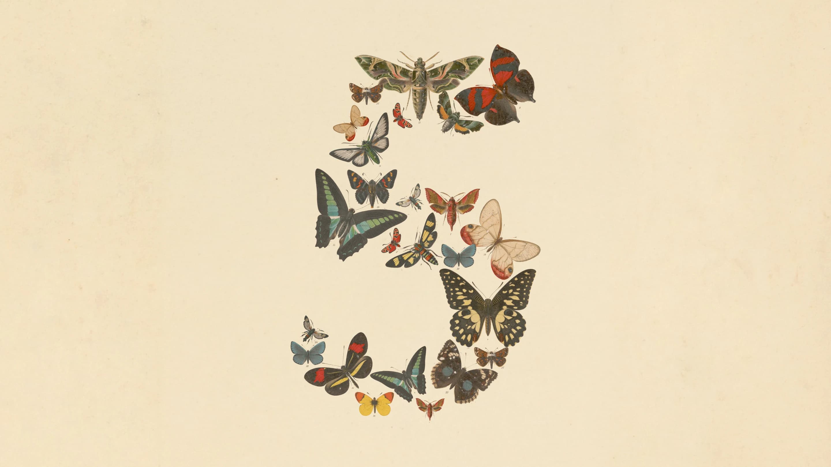 El número cinco formado por mariposas en la imagen oficial de Claude Fable 5 y Mythos 5