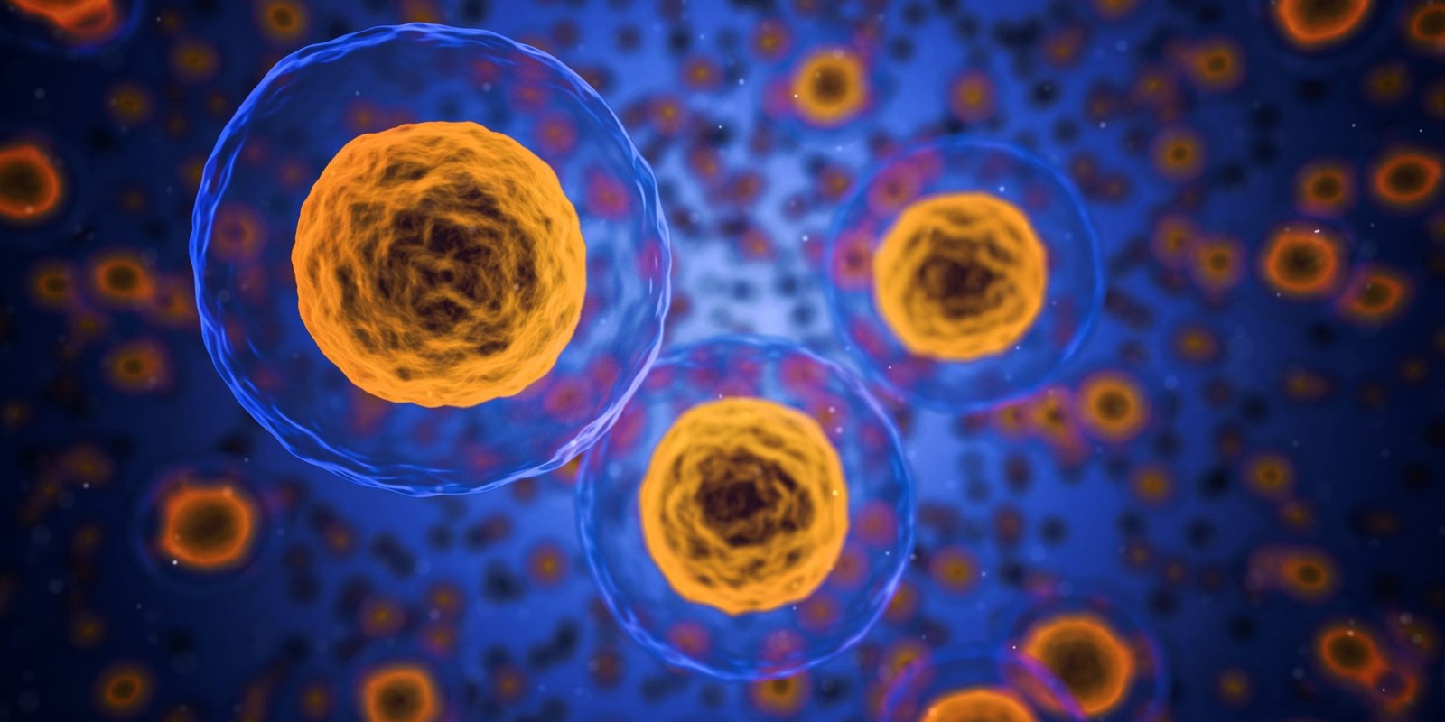 Illustration of an early embryo next to a laboratory micropipette