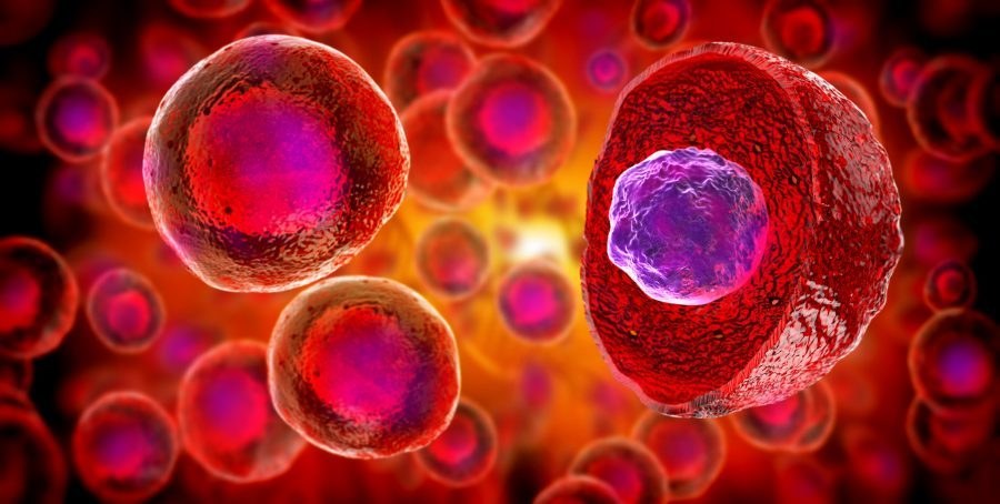 Illustration of blood stem cells, like the ones bone marrow produces