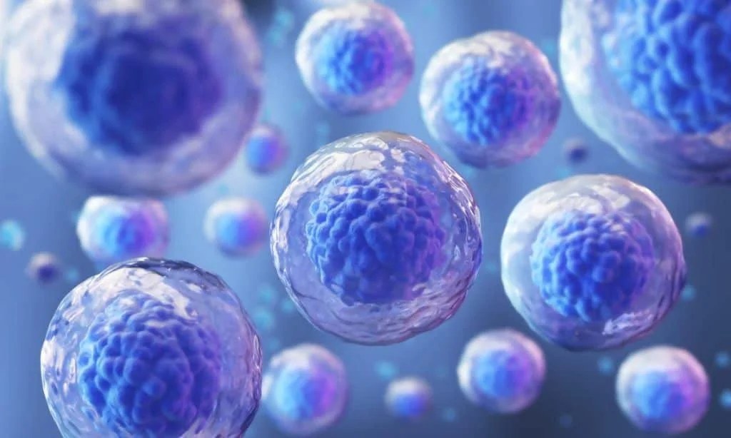 3D illustration of stem cells in blue and orange tones