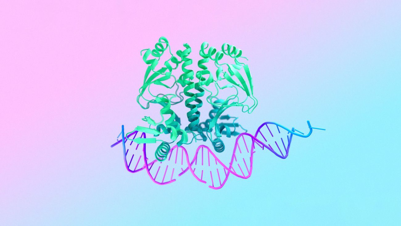 Rendering of a protein bound to a strand of DNA on a coloured background
