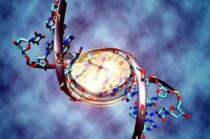 Una doble hélice de ADN rodea la esfera de un reloj que representa la edad epigenética