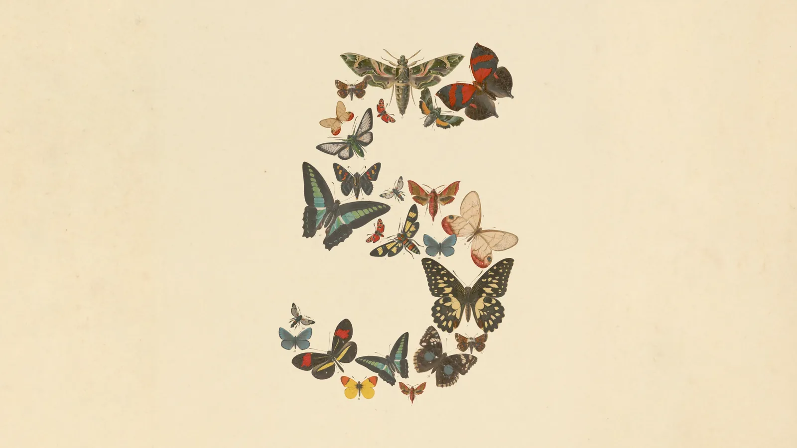 The number five formed from butterflies in the official Claude Fable 5 and Mythos 5 artwork