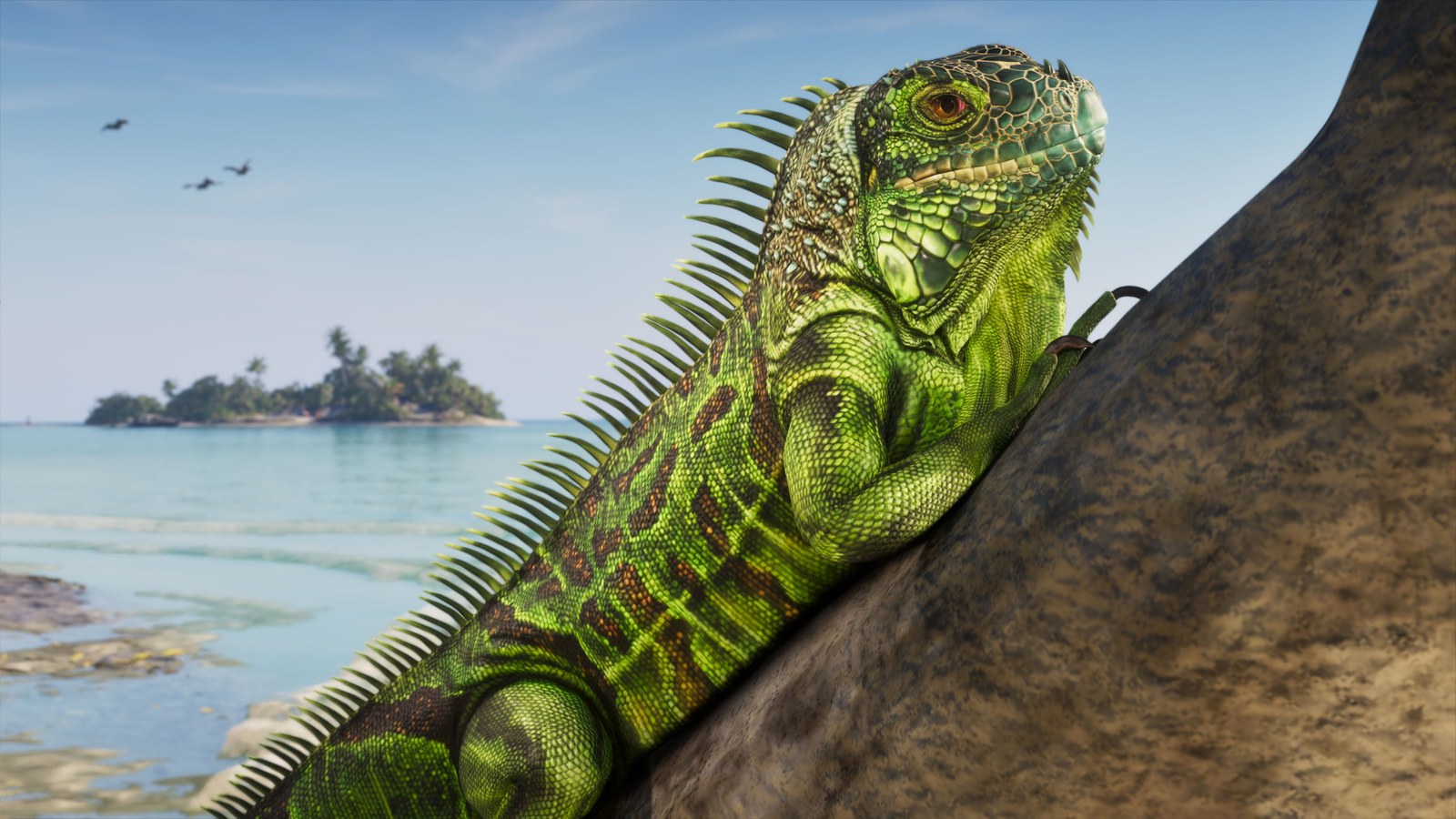 Una iguana verde sobre una roca con el mar y un islote de los Cayos de Leonida al fondo en una captura oficial de GTA 6