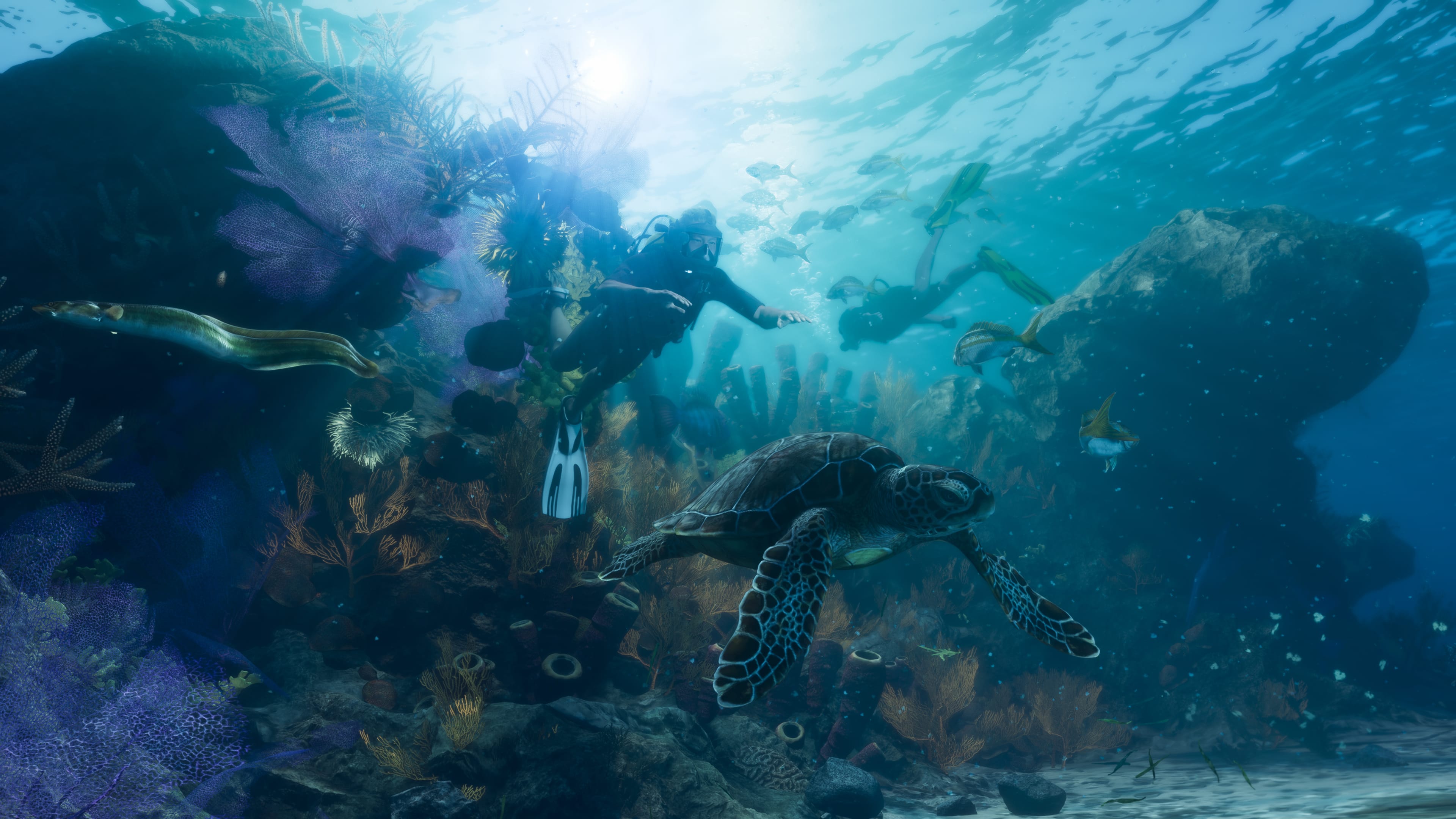 Official underwater GTA VI scene in the Leonida Keys with divers, fish and a sea turtle