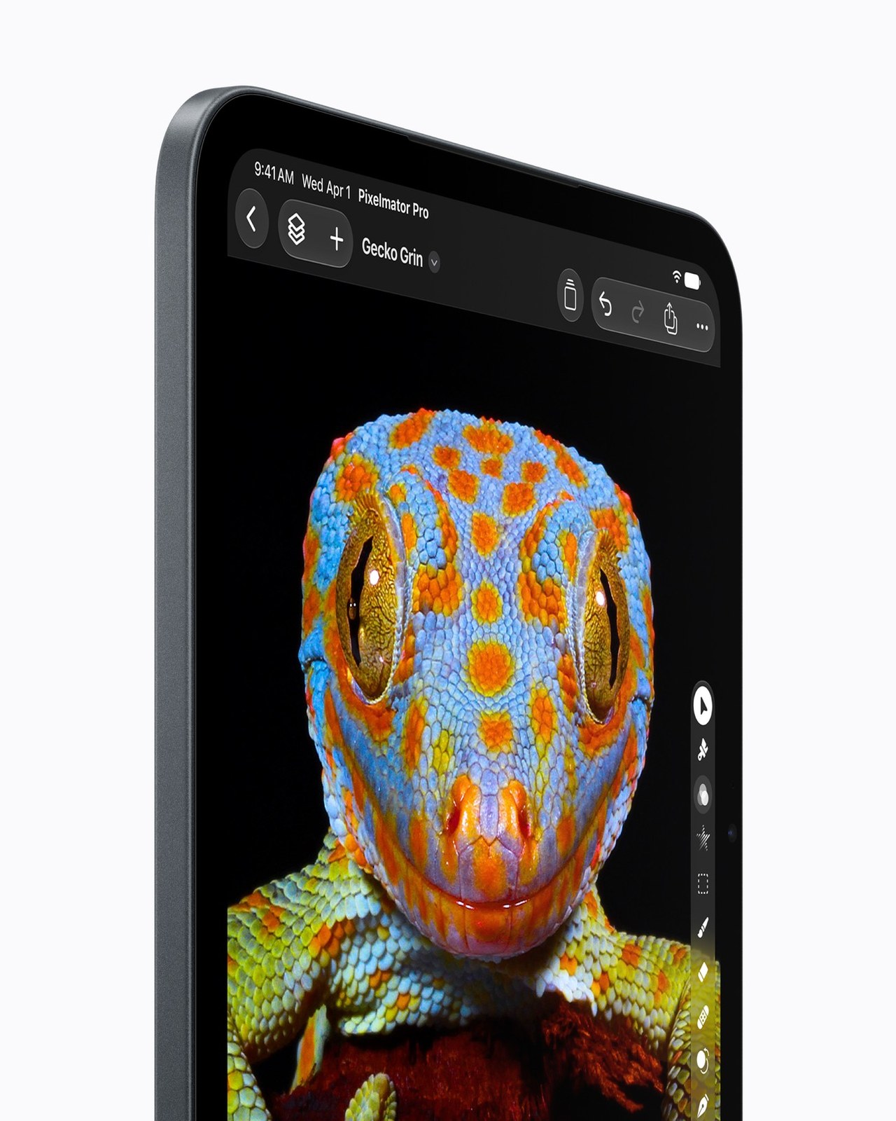 Close-up of the iPad mini's OLED display showing a brightly colored gecko against a dark background