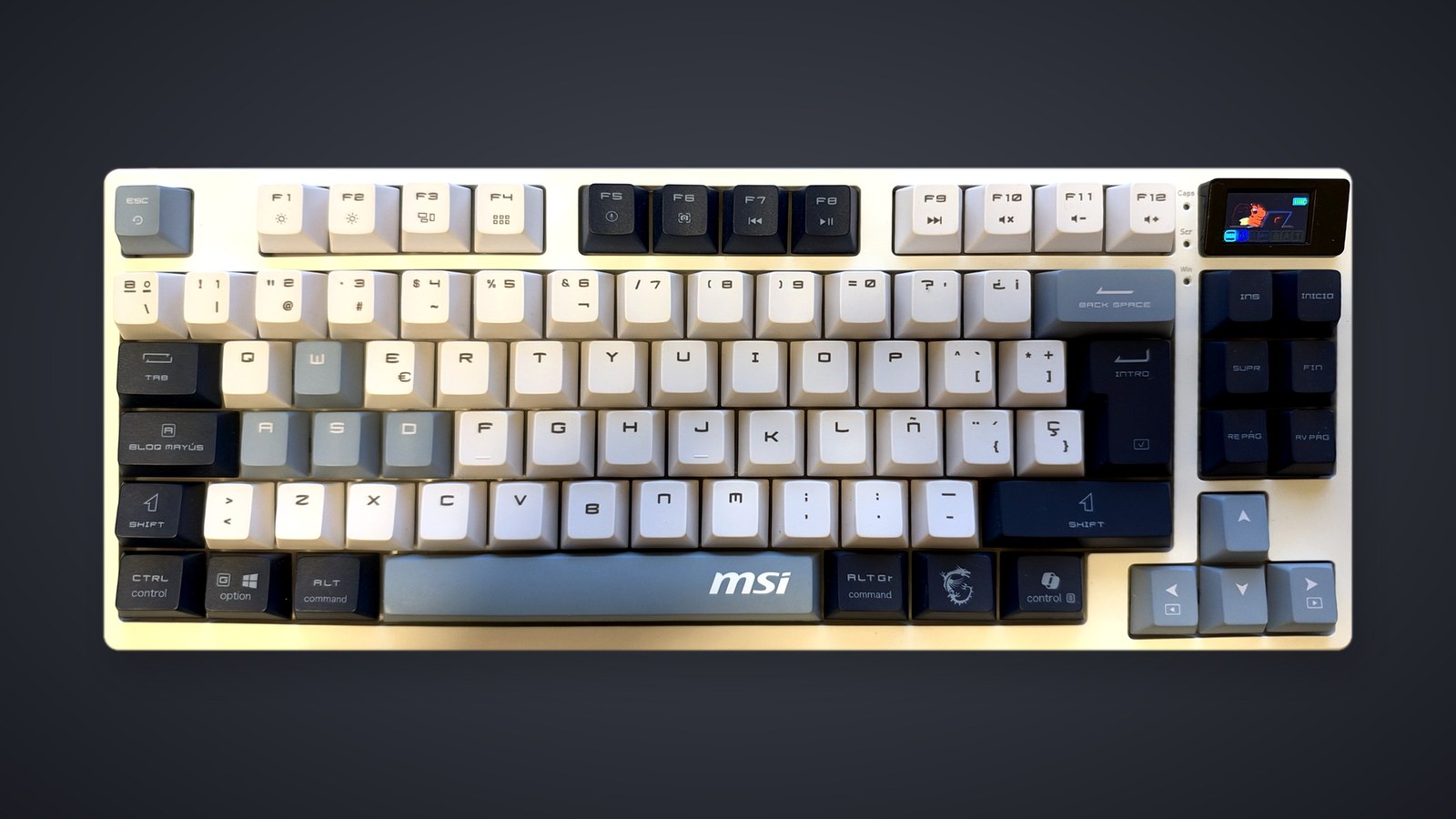The white MSI Forge GK600 TKL Wireless with white, light gray and navy keycaps, a gray space bar with the MSI logo and a small screen on the right, against a dark studio backdrop