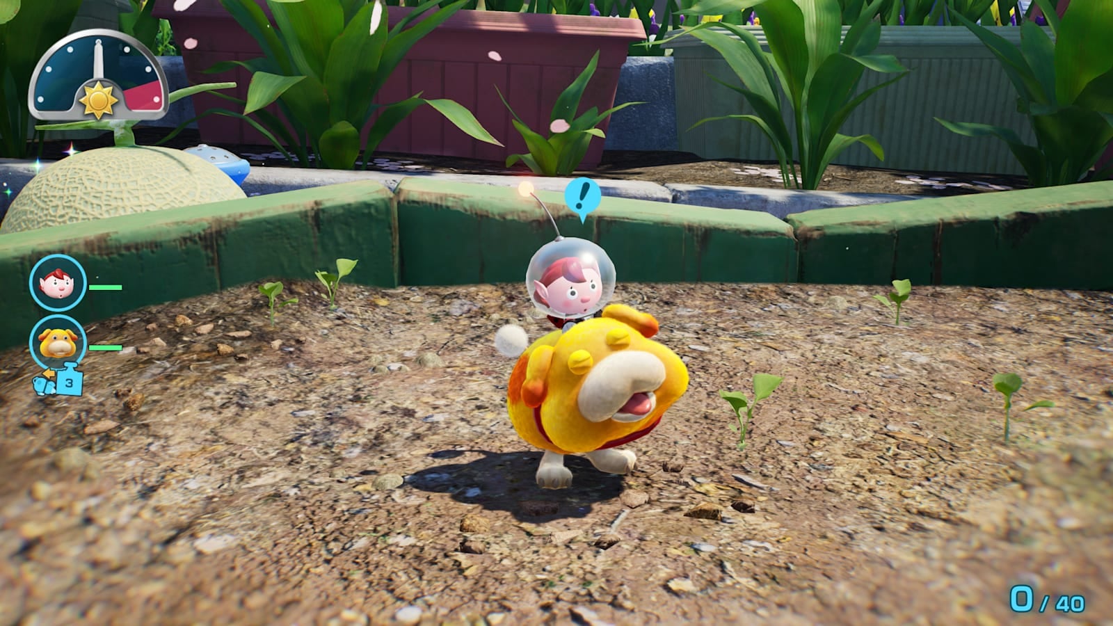 Pikmin 4 Nintendo Switch 2 Edition y Dandori Academy, imagen oficial 2