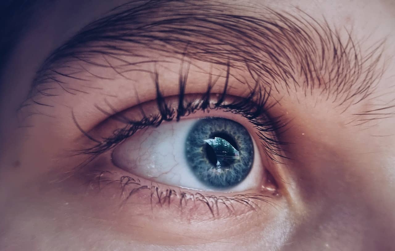 Close-up of a human eye, the organ chosen for the first clinical trial of partial cellular reprogramming