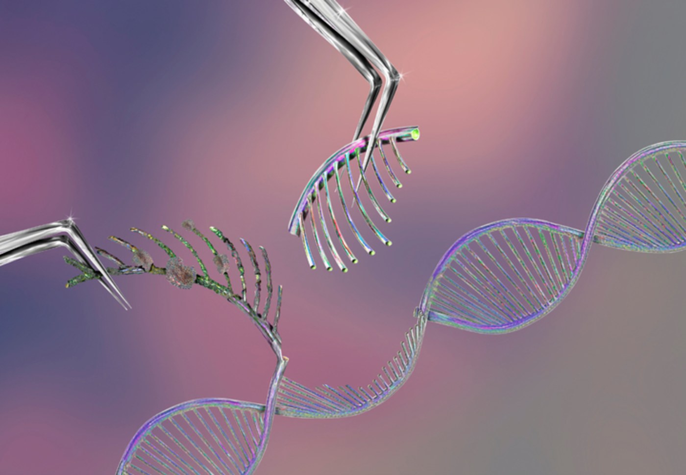Illustration of scissors cutting a DNA helix to edit a gene