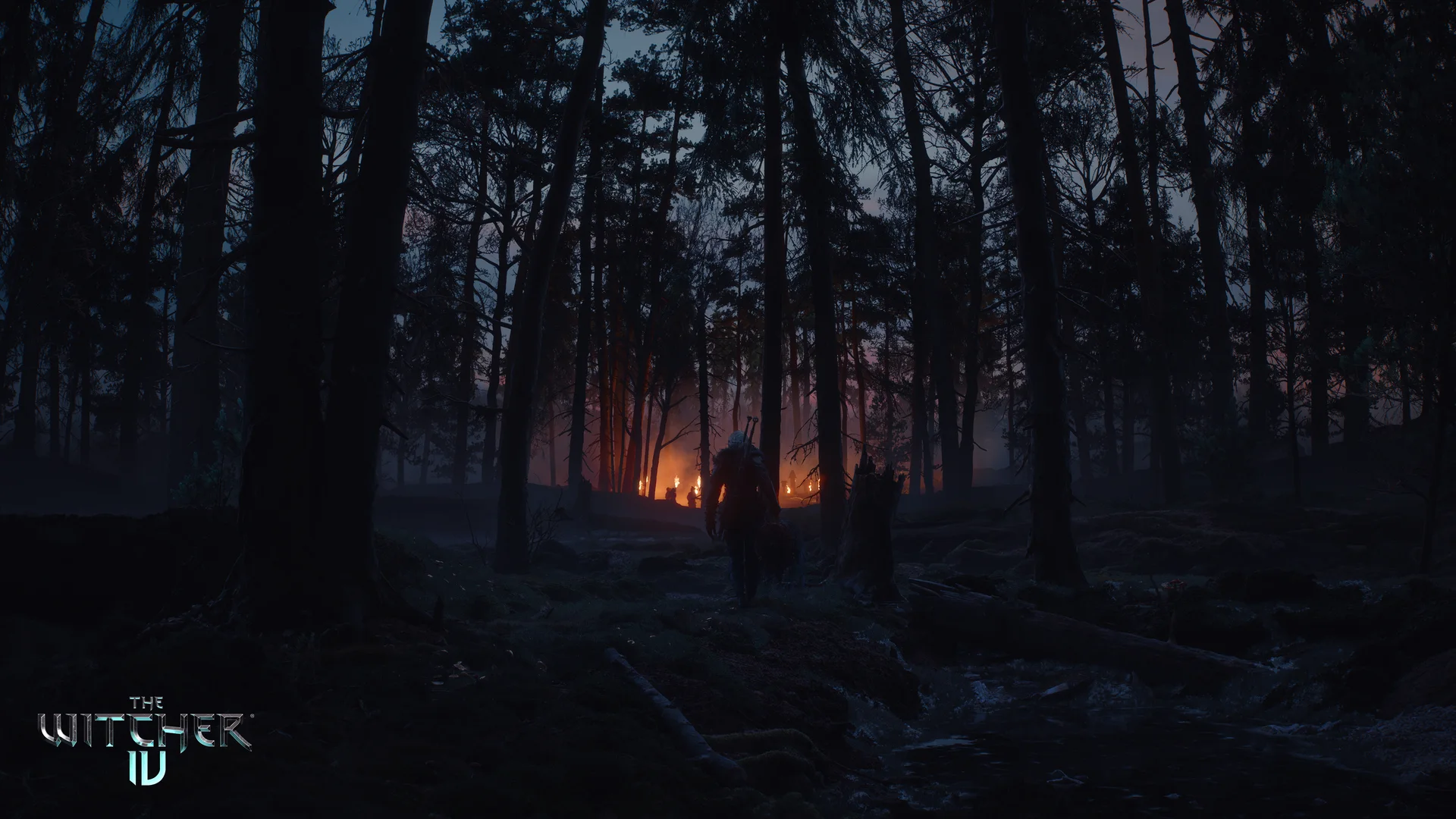Ciri avanza por un bosque oscuro en The Witcher 4
