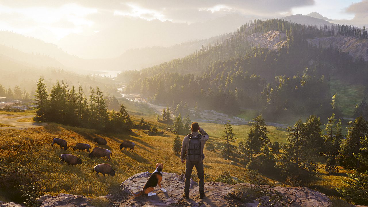 A hunter surveys a valley at dawn in Way of the Hunter 2