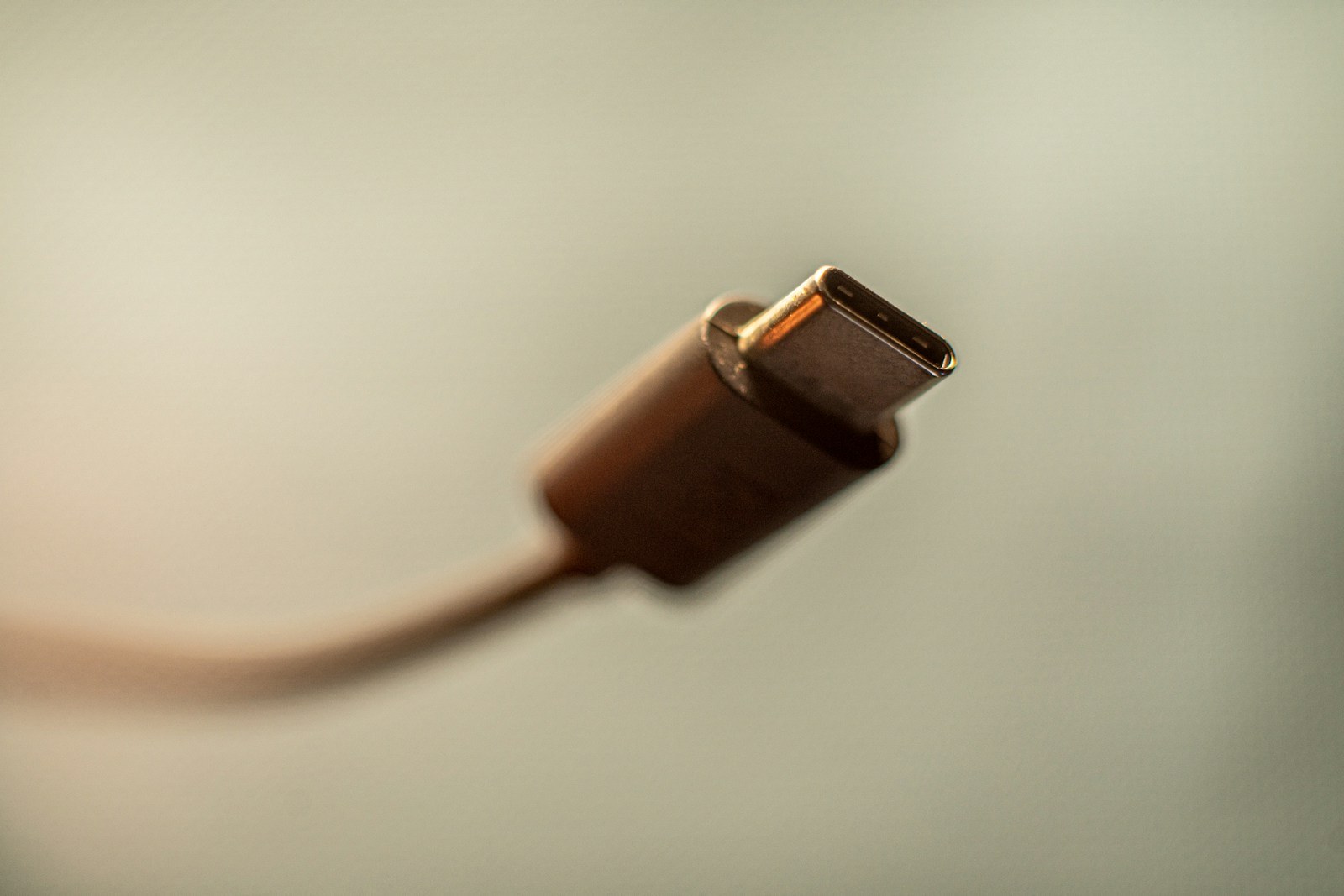 Detalle del extremo metálico de un conector USB-C